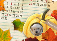 RYU Calendarのサムネール画像