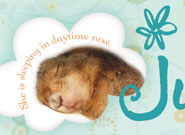 Marguerite Calendar Julyのサムネール画像